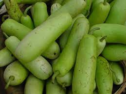 Lauki (Bottle Gourd)