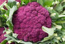 Gulabi Phool Gobi (Purple Cauliflower)