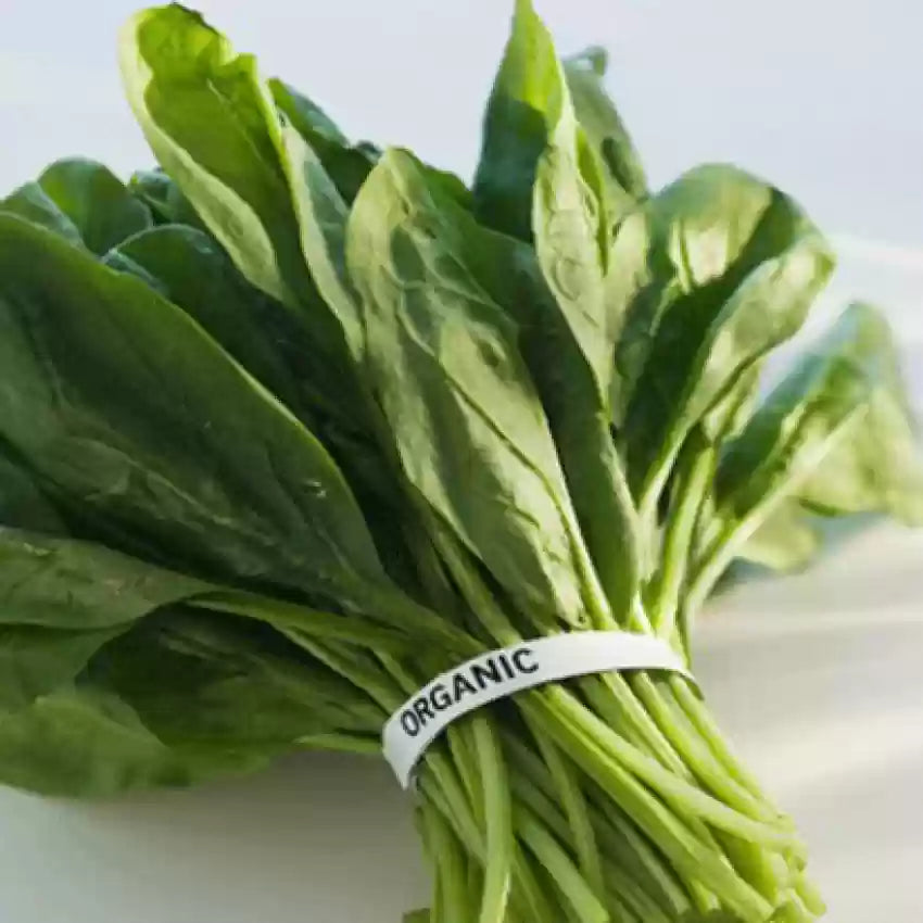 Palak (Spinach)