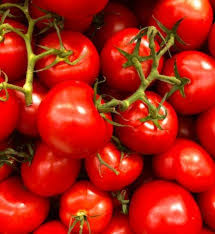 Tamater (Tomato)