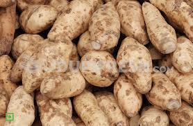 Arvi (Taro Root)