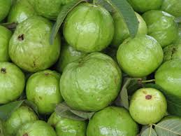 Teenda (Round Gourd)