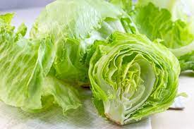 Iceberg Lettuce
