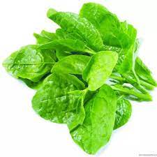 Palak (Spinach)