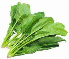 Palak (Spinach)