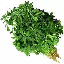Meethi (Fenugreek)