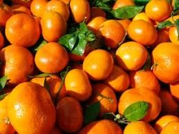 Orange Kinno (Malta)