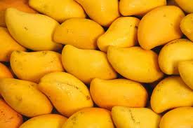 Aam (Mango)