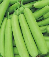 Lauki (Bottle Gourd)