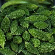 Karela (Bitter Gourd)