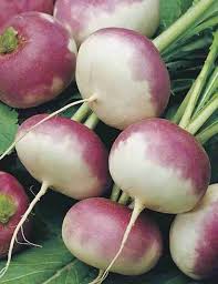Shalgham (Turnip)