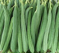 Toori (Ridge Gourd)